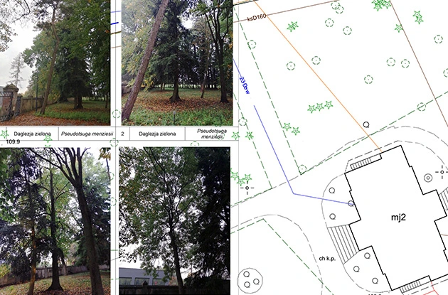 zdjęcia drzew i plan parku
